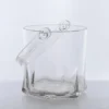 Crystal Transparent Plastic Ice Bucket