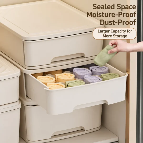 Stackable Drawer Organizer with Dividers