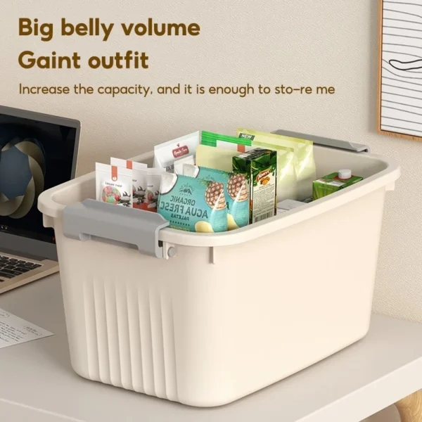 Extra Large Plastic Storage Box with Lid